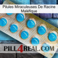 Pilules Miraculeuses De Racine Maléfique new09